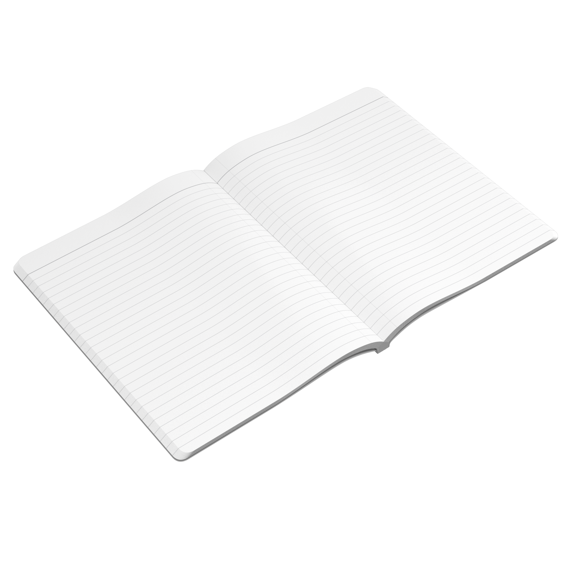 Magic_Can_Happen_-_Journal_Open_Pages_Angle_Mockup.png