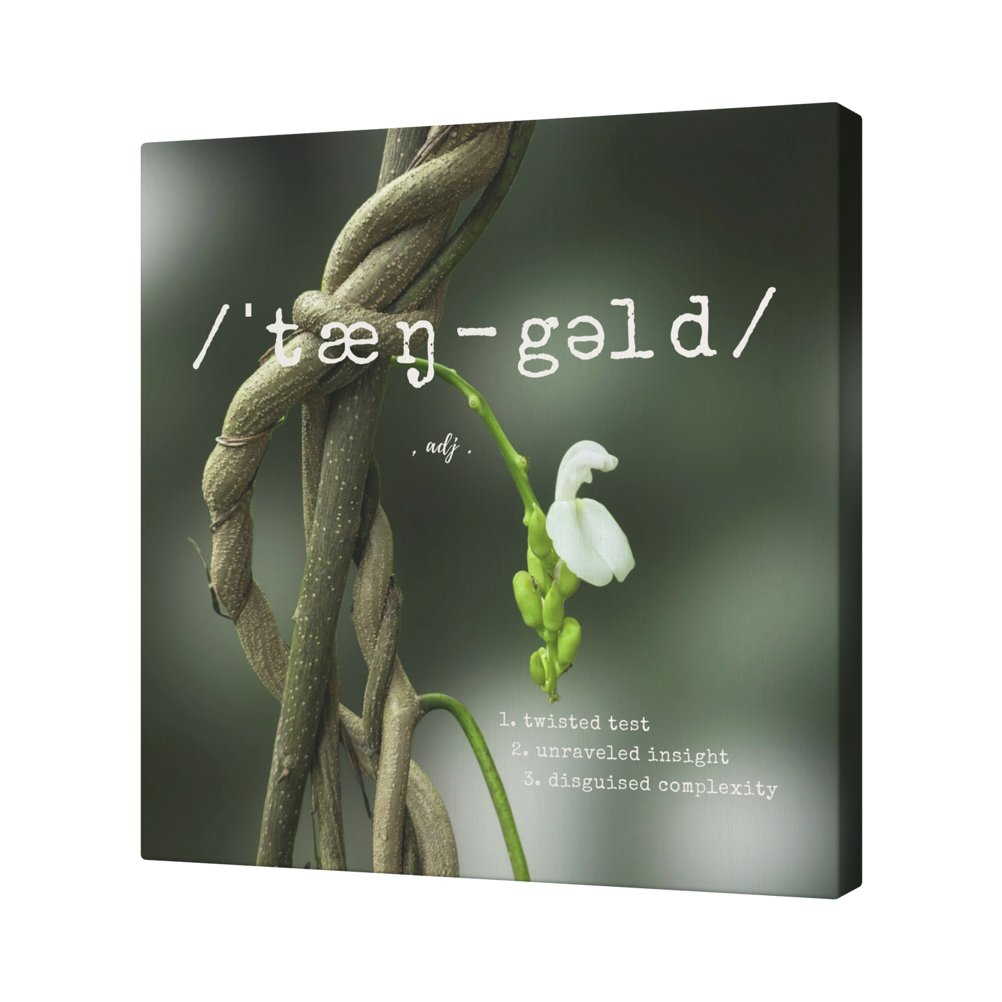 Tangled_Challenge_-_Canvas_Angle_T_Mockup.png