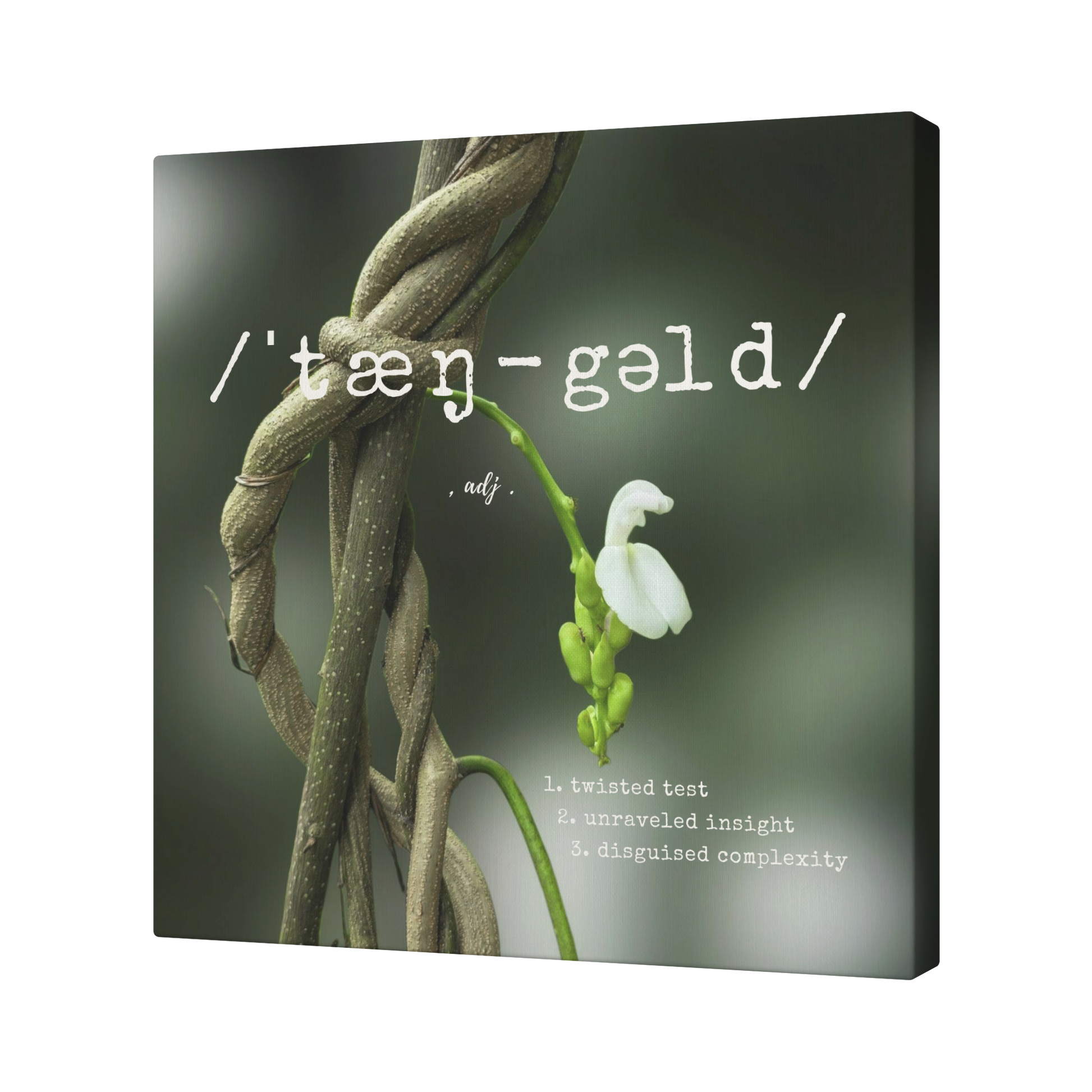 Tangled_Challenge_-_Canvas_Angle_T_Mockup.png