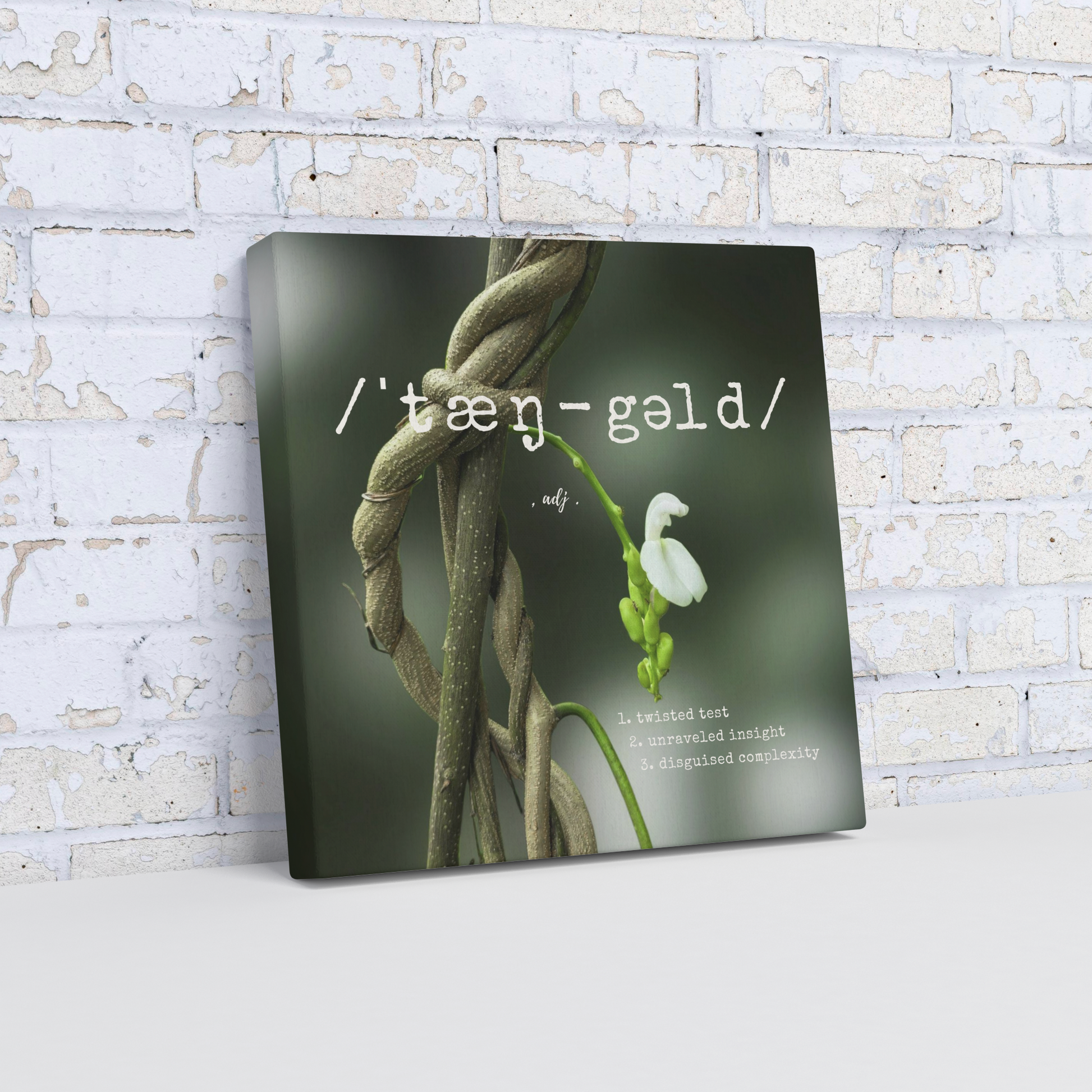 Tangled_Challenge_-_Canvas_Angle_Wall_Mockup.png