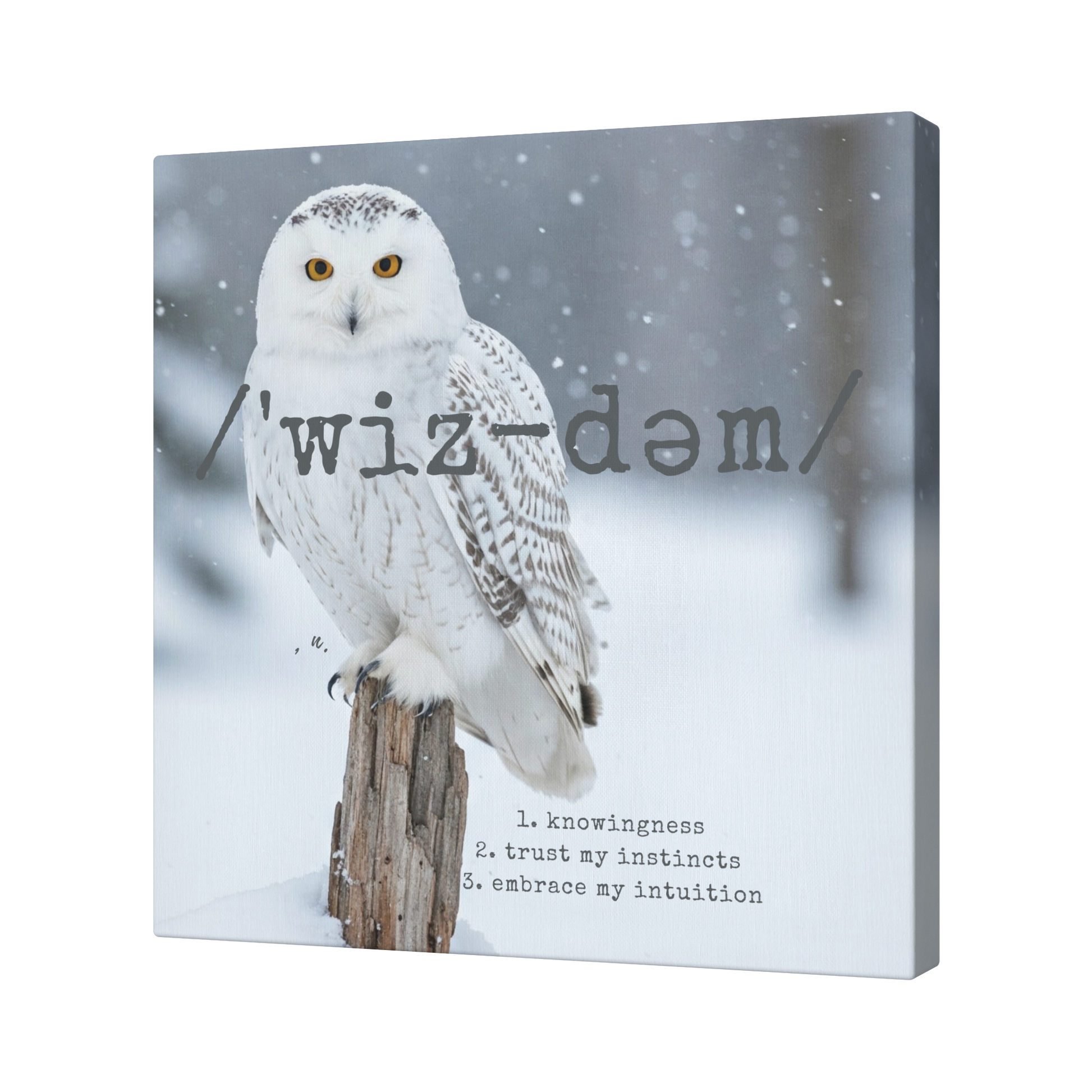 Wisdom_Within_-_Canvas_Angle_T_Mockup.png