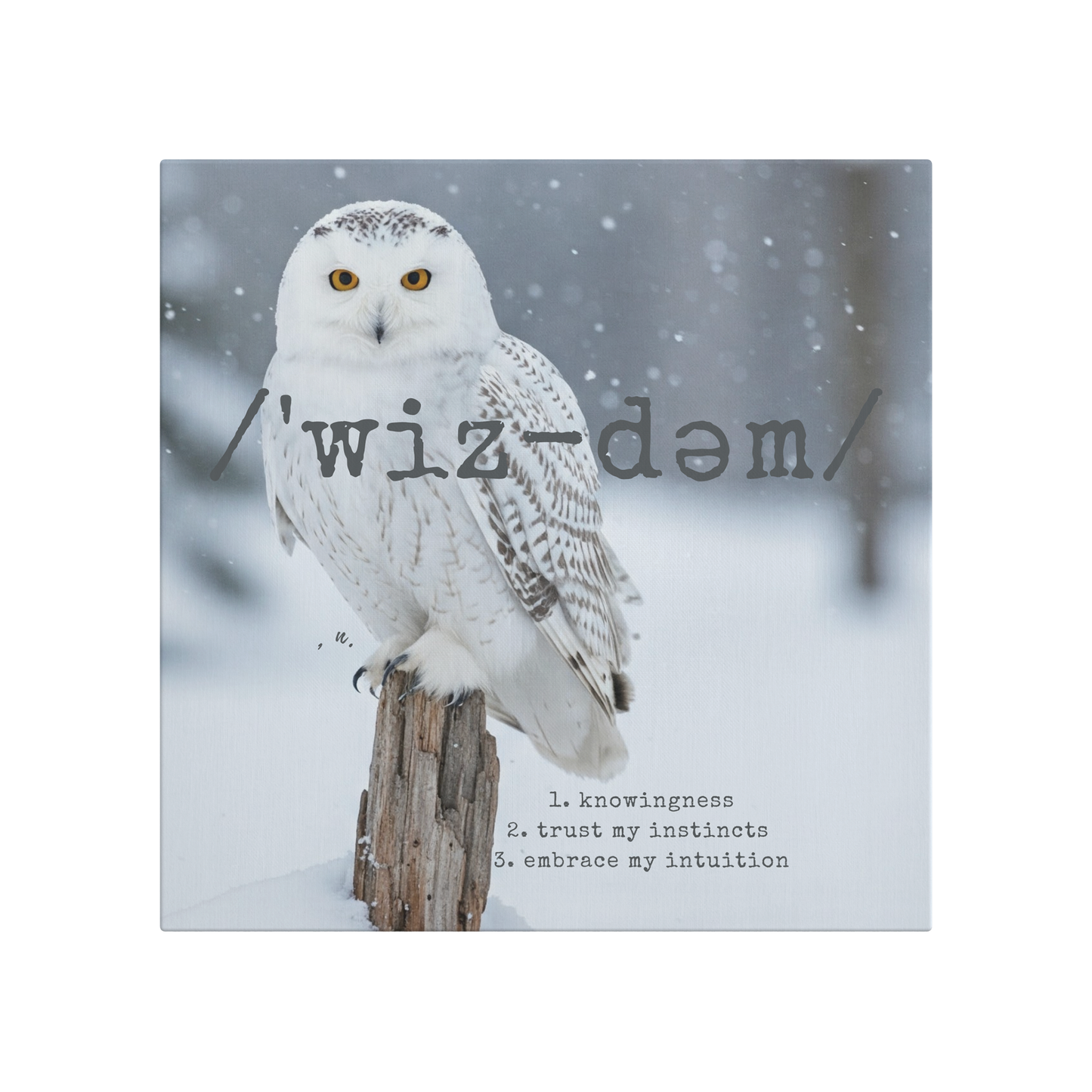 Wisdom_Within_-_Canvas_Main_Mockup.png