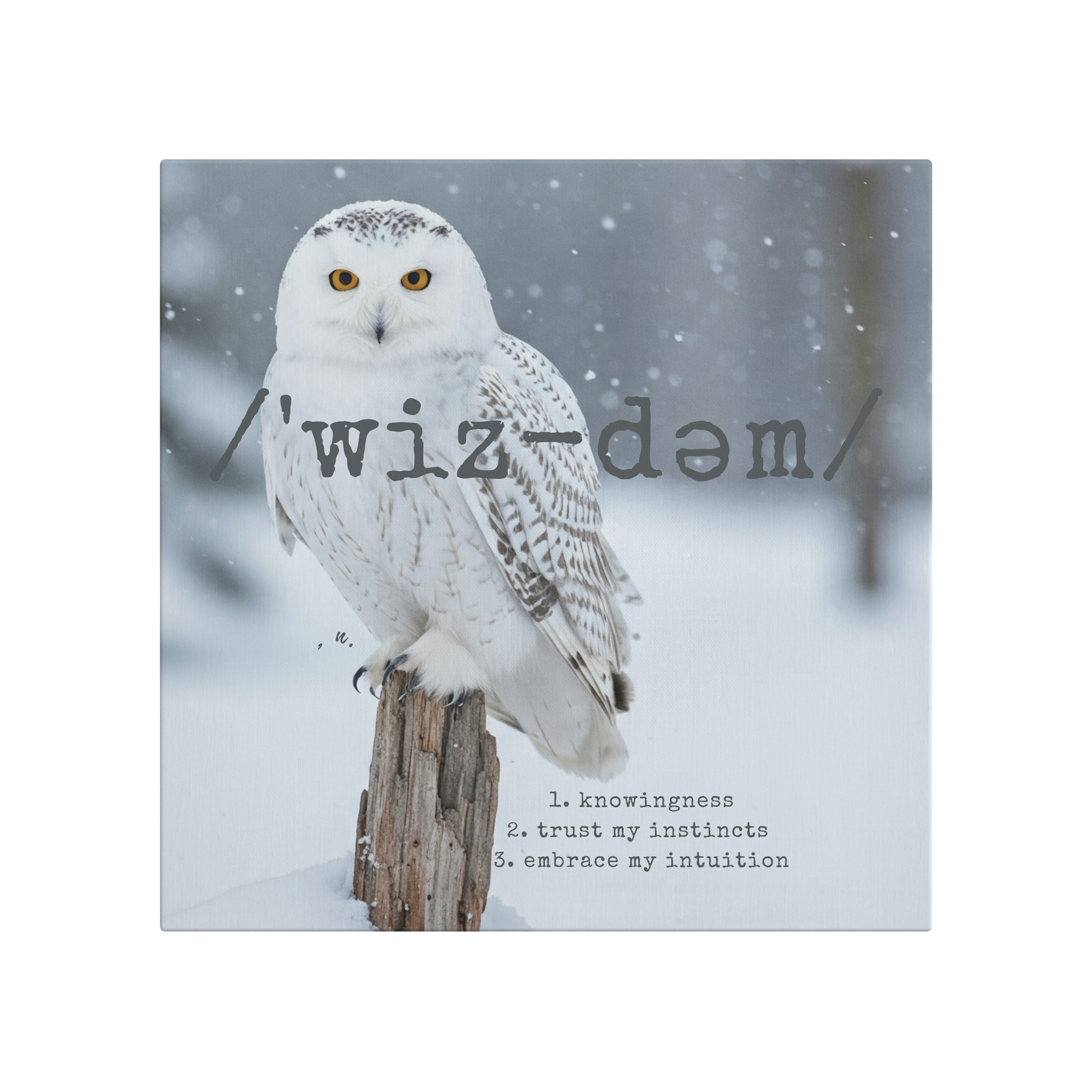 Wisdom_Within_-_Canvas_Main_Mockup.png